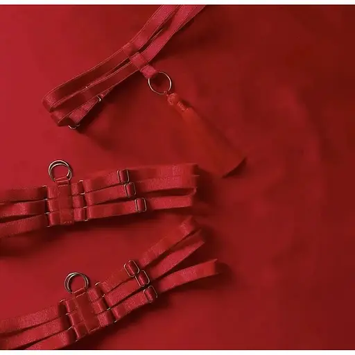 Сексуальное соблазнительное красное белье - фото 2