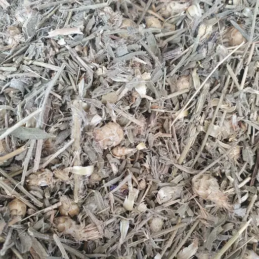 100 г сосюрея Горьку́ша трава - свежий урожай