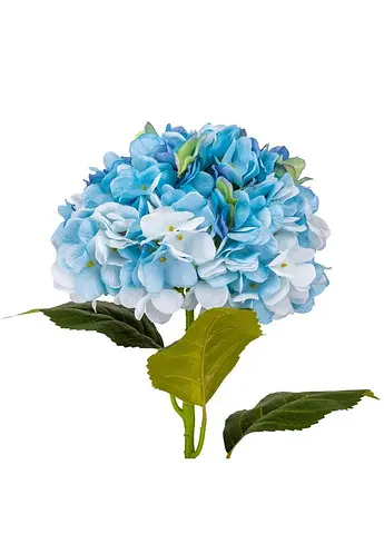 Гортензія "Анабель", блакитна, 57 см Elisey 9160-012  