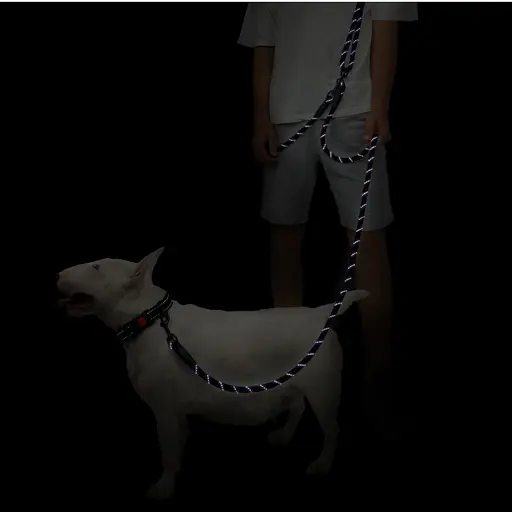 Поводок для собак Barksi Свободные руки светоотражающий 325х1.2 см черно-фиолетовый - фото 6