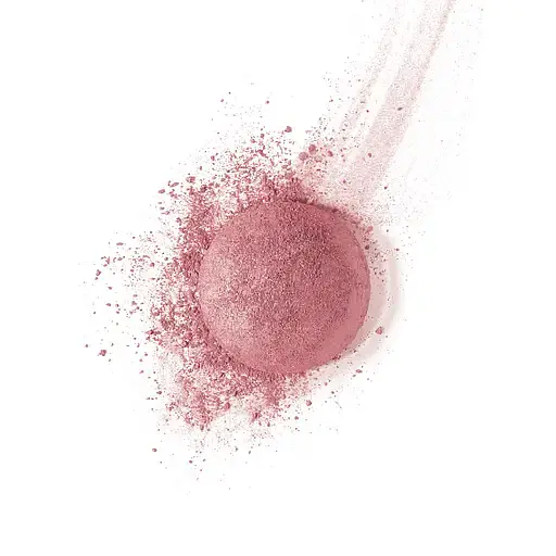 Рум'яна Bourjois Blush 95 2.5 г (8000017959459) - фото 2