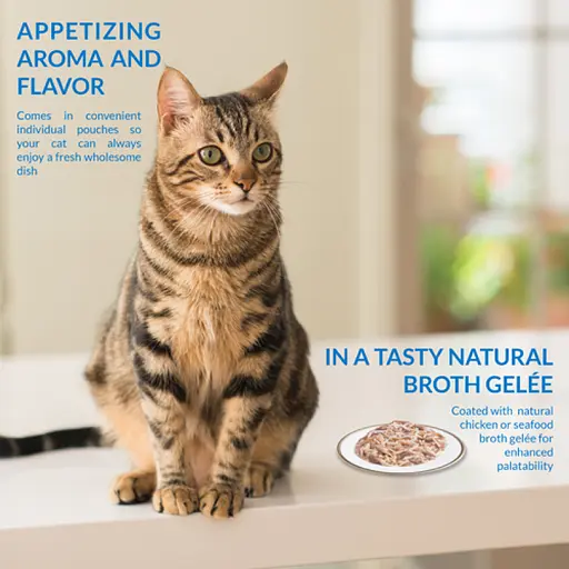 Лакомство пауч İnaba Twin Packs для кошек, с тунцем и курицей в бульоне из расчесок 2x40 г - фото 4