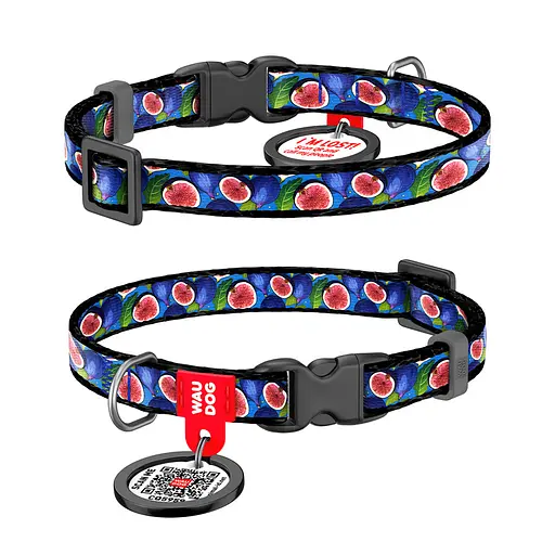 Ошейник для кошек и мелких пород собак нейлоновый Waudog Nylon с QR-паспортом "Инжир" пластиковый фастекс XS Ш 10