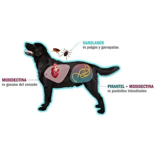 Пігулка від бліх та кліщів Сімпаріка Тріо для собак 1.3-2.5 кг 1 шт. (10024331-1) - фото 6