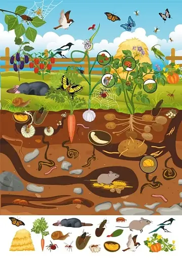 Книга-картонка Великий віммельбух. Мікросвіт - фото 4