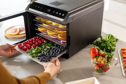 Сушарка для продуктів Gorenje 580 Вт піддонів 6 x 1.5 см дисплей пластик+метал чорний - фото 8