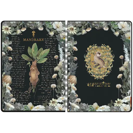 Щоденник шкільний Kite Harry Potter на спіралі тверда обкладинка (HP23-438) - фото 6