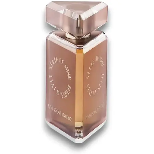 Парфюмированная вода оригинал тестер State Of Mind Fanfarone Italiano 100 мл - фото 1