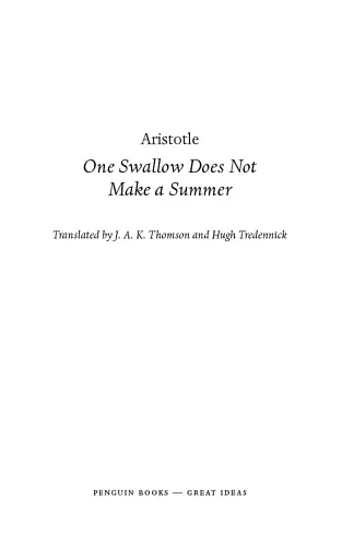 One Swallow Does Not Make a Summer - фото 5