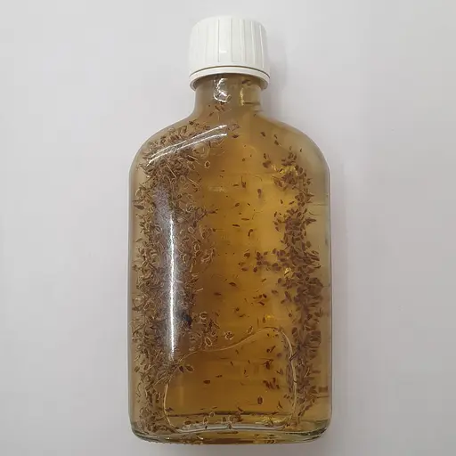 Настойка на семенах дикой моркови 200 мл - фото 2