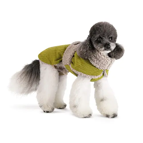 Попона для собак Gigi Pet Fashion ХS2 фісташковий бежевий - фото 2
