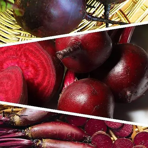 Буряк столовий "Суміш кращих популярних сортів" ТМ "Весна"  15г (45535) - фото 1