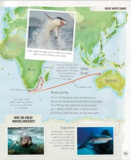 Amazing Animal Journeys - фото 5