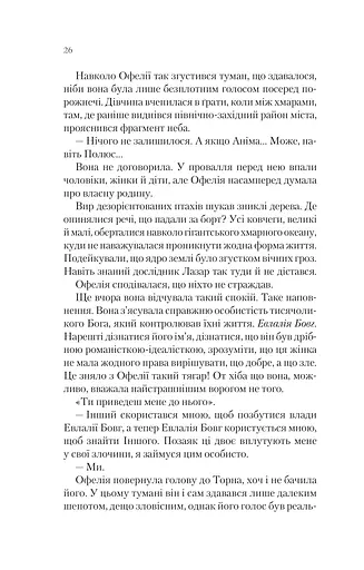 Буря лун. Крізь дзеркала. Книга 4 - фото 21