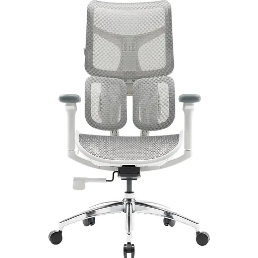 Крісло офісне Sihoo Doro S100 Mesh White (S100-M302)