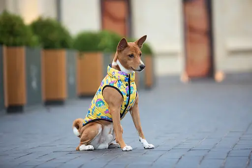 Курточка для собак Waudog Clothes малюнок "Рік та Морті 3", L65, В 87-90 см, С 60-65 см - фото 6