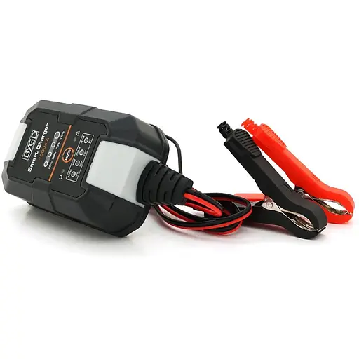 Автомобільне ЗУ BYGD, 6/12V, 220-240V, 1,5A, LED-індикація, клемми (AGM/GEL/Lead)