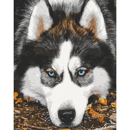 Картина за номерами "Засмучений хаскі" Art Craft 40х50 см 11509-AC