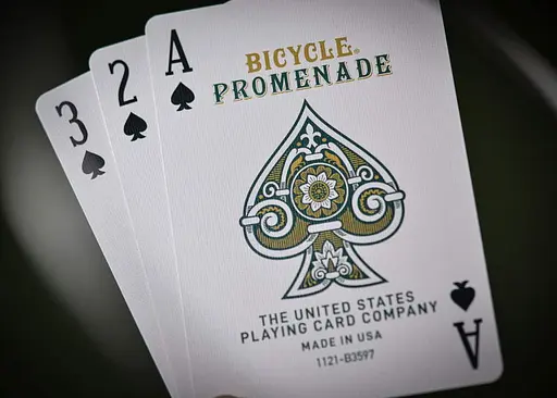 Карти гральні United States Playing Card Company Bicycle Promenade (09397) - фото 8