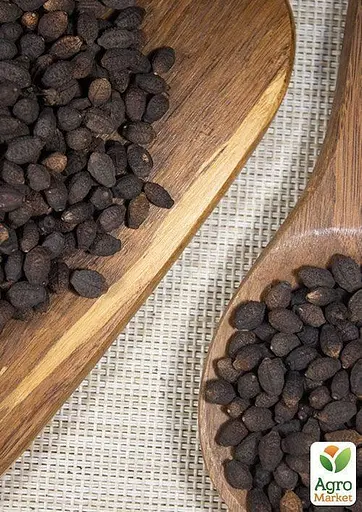 Мирабилис "Красный" Весна 3г (22454) - фото 3