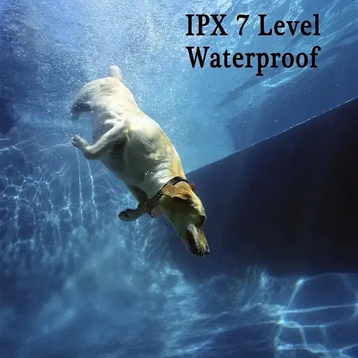 Електронний нашийник для великих собак + антилай 2 в 1 Trainertec PTS1200 водонепроникний 1200 м - фото 7