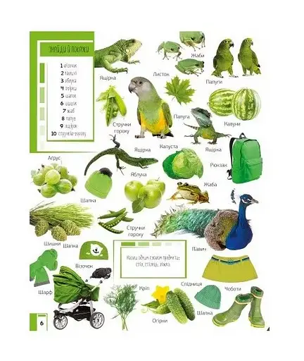 Книга 500 первых слов. Изучаем цвета. Развиваем внимание. Автор – Жученко Мария (Vivat) - фото 4