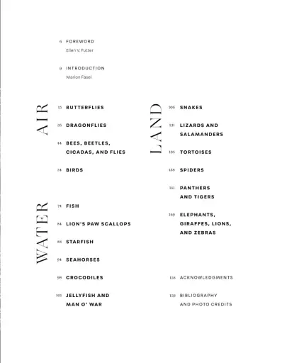 Beautiful Creatures. Jewelry Inspired by the Animal Kingdom - фото 4