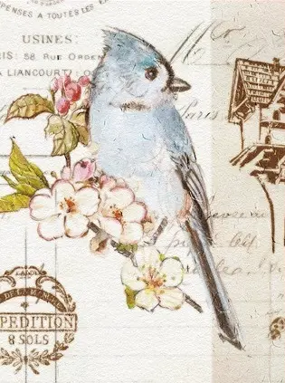 Альбом UFO 20sheet Bird 22х32см (20sheet S22x32 Bird) - фото 1