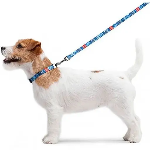 Повідець для собак Waudog Nylon нейлоновий, малюнок "Етно синій" - фото 4