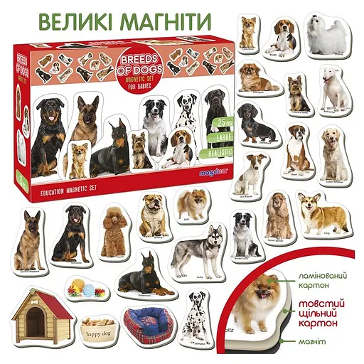 Детский развивающий набор магнитов Породы собак ML4031-20EN 24 фотомагниты - фото 5
