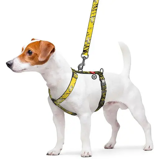 Шлея для собак Waudog Nylon анатомічна H-подібна з QR-паспортом, світловідбивна, малюнок "Бетмен Ескіз", пластиковий фастекс, L - фото 4