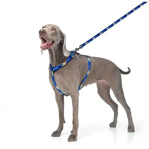 Повідець для собак Waudog Nylon нейлоновий малюнок "Прапор", розмір L-XXL - фото 3