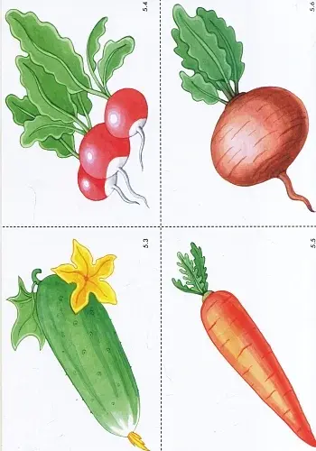 Слово до слова - звучить рідна мова. Середній вік - фото 8