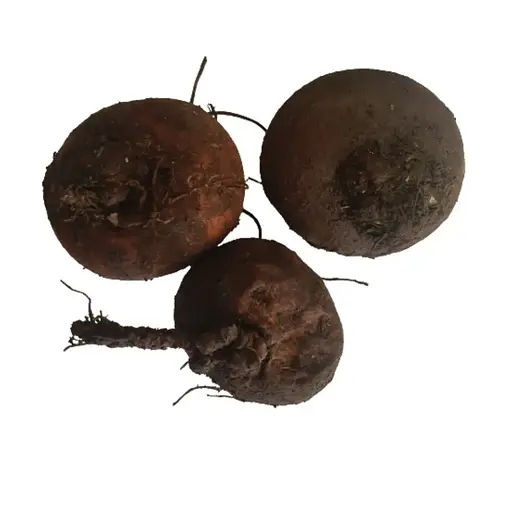 100 г цикламен/альпійська фіалка/дряква бульби свіжі - свіжий урожай