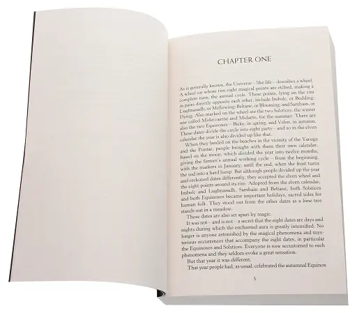 The Witcher. The Tower of the Swallow - фото 2