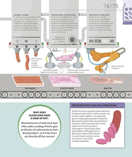 How Food Works: The Facts Visually Explained - фото 5