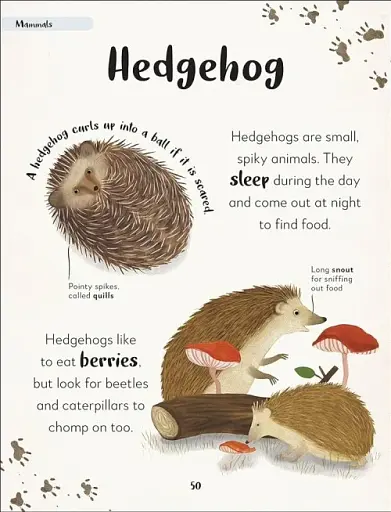 The Bedtime Book of Animals - фото 4