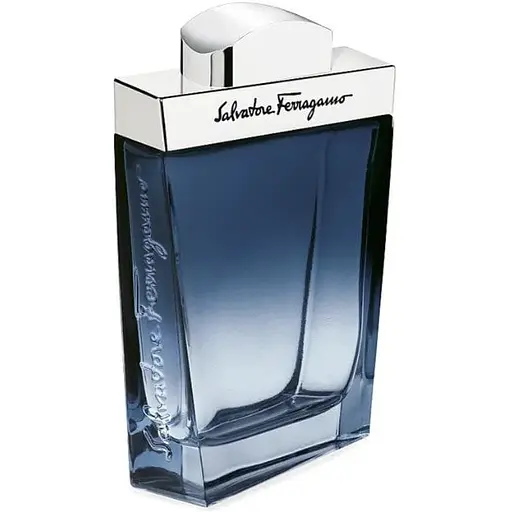 Туалетна вода Salvatore Ferragamo Subtil Pour Homme 50 мл - фото 1