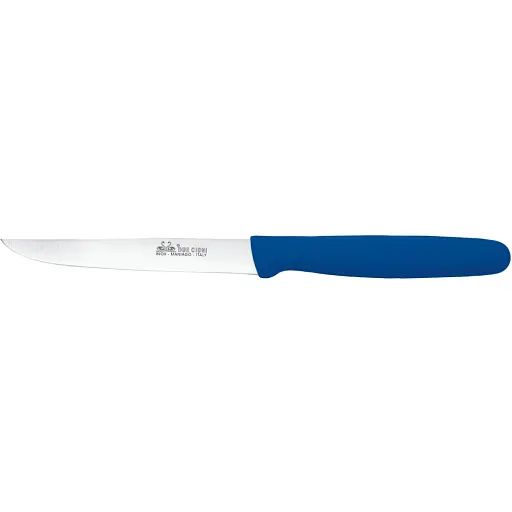 Нож кухонный Due Cigni Utulity Steak Knife 110 мм синий