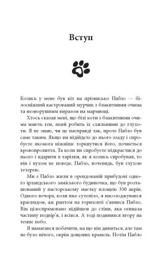 Таємничий світ котів - фото 9