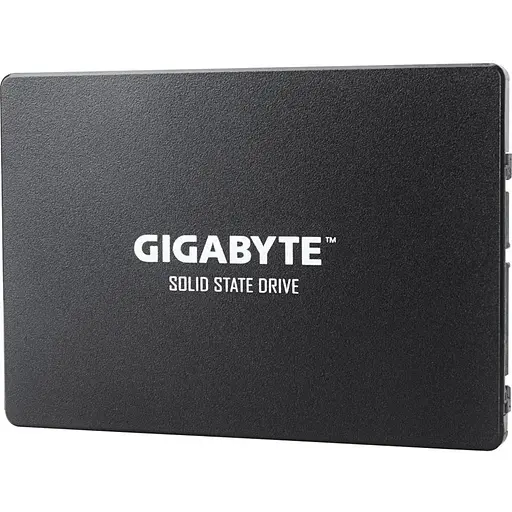 SSD накопичувач Gigabyte 1 TB (GP-GSTFS31100TNTD) [142678]