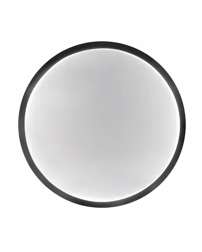 Світильник стельовий Goldlux 327307 Benedykt E27 2x20W IP20 Bk - фото 2