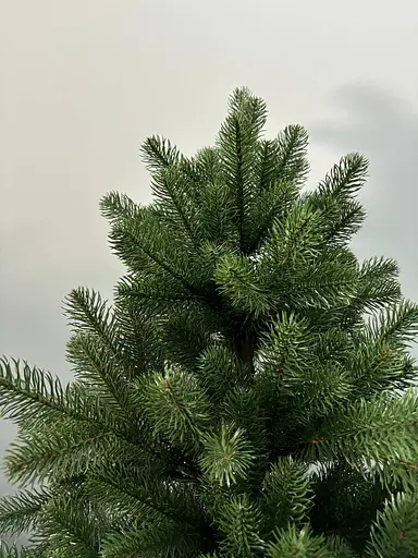 Елка искусственная Квазар Тациано 1.8 м - фото 3