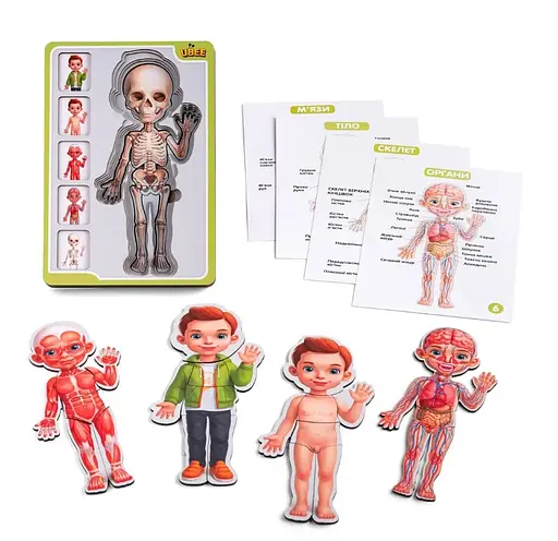 Сортер-пазл дерев'яний Анатомія людини Хлопчик Ubee ПСФ026