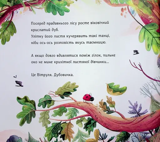 Вітруля, дубовичка невеличка - фото 2