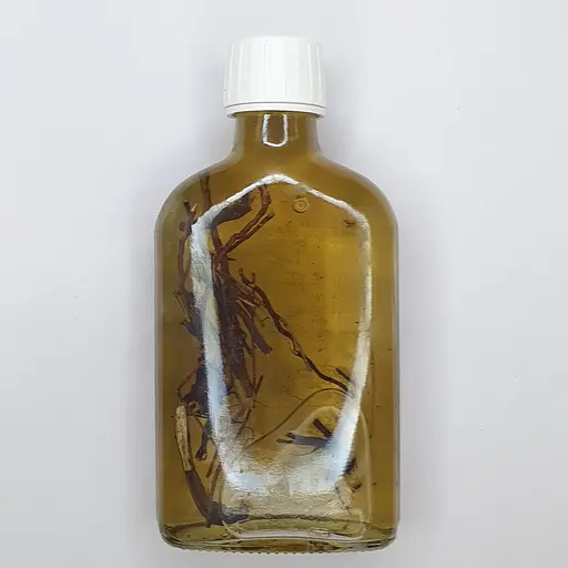 Настоянка на корені ехінацеї 200 мл - фото 2