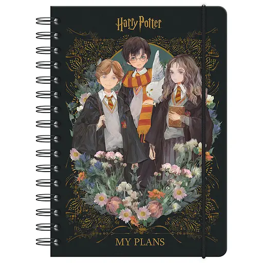 Щоденник шкільний Kite Harry Potter на спіралі тверда обкладинка (HP23-438)