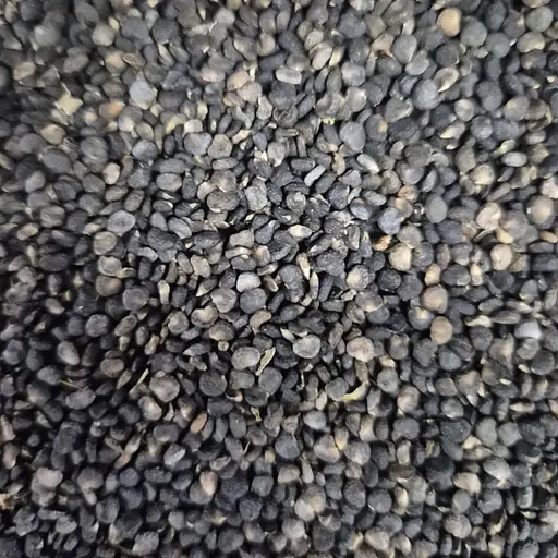 100 г дурман насіння сушене