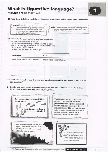 Meanings and Metaphors Book - фото 6