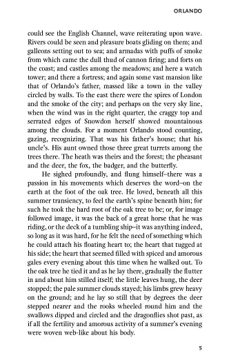 Orlando - фото 7